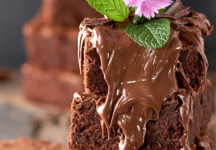 Delicioso brownie esponjoso cubierto de chocolate derretido, menta y una flor rosa. ¡Perfecto para tu próxima receta de brownie esponjoso!